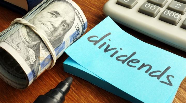 Why Invest in Dividend Stocks